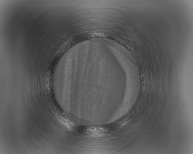 X0000082690712200702161724