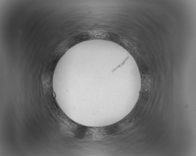 X0000082690713200702161724