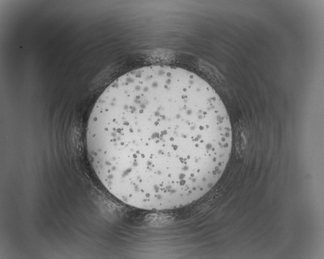 X0000082690714200702161724