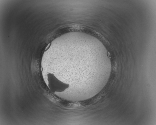 X0000082690715200702161724