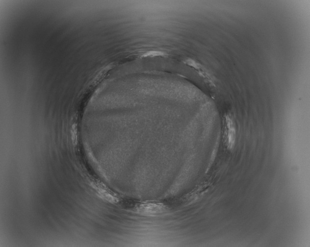 X0000082690716200702161724