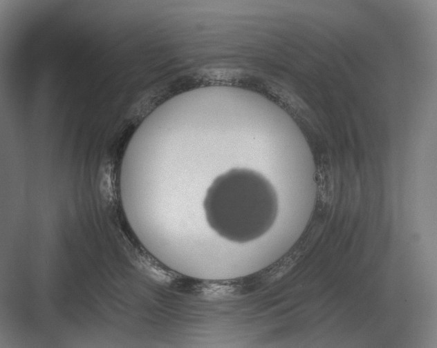 X0000082690718200702161724