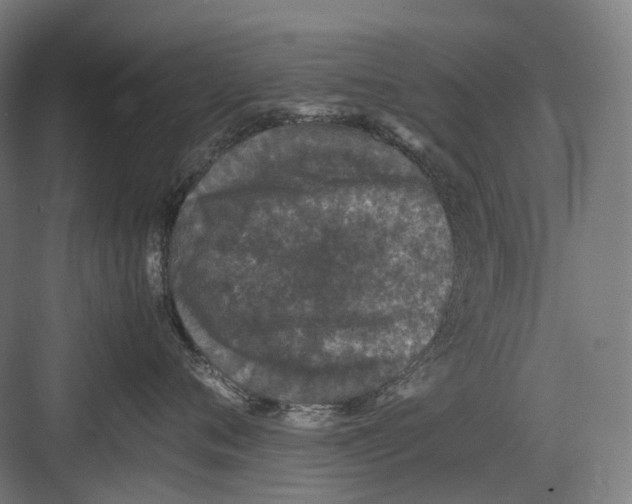 X0000082690720200702161724