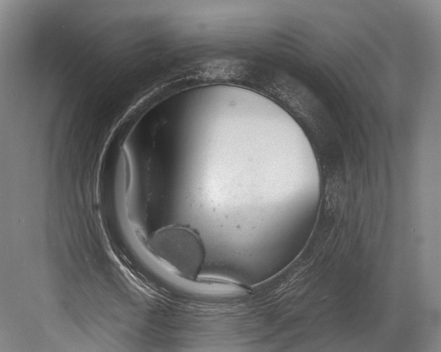 X0000082690722200702161723