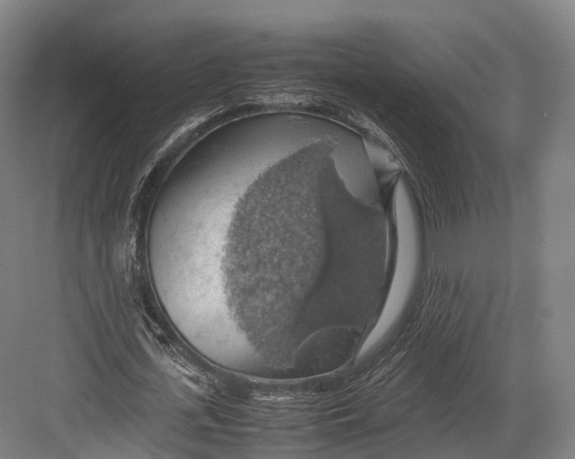 X0000082690723200702161723