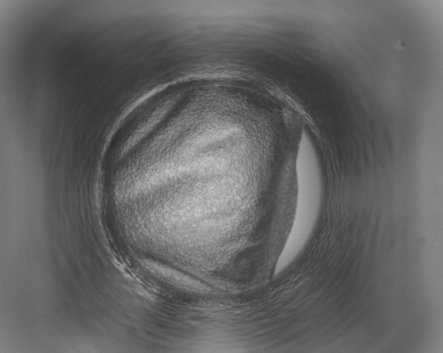 X0000082690724200702161723