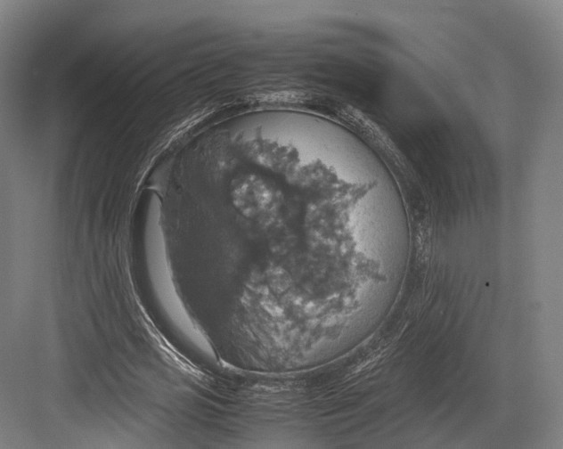 X0000082690725200702161723