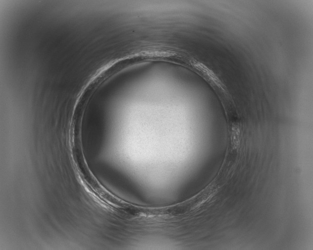 X0000082690726200702161723