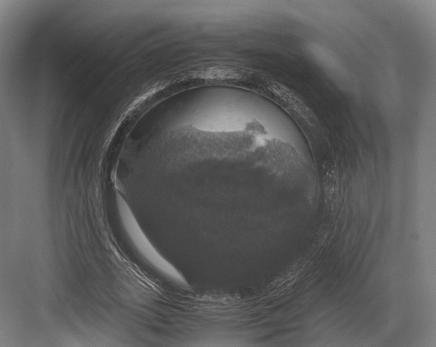 X0000082690727200702161723