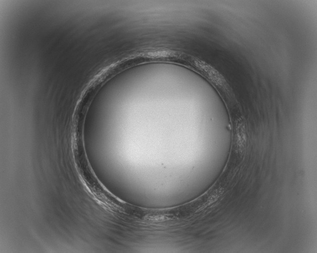 X0000082690728200702161723