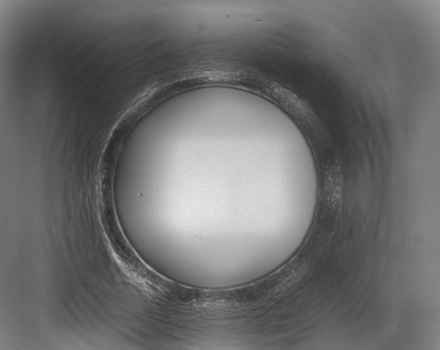 X0000082690730200702161723