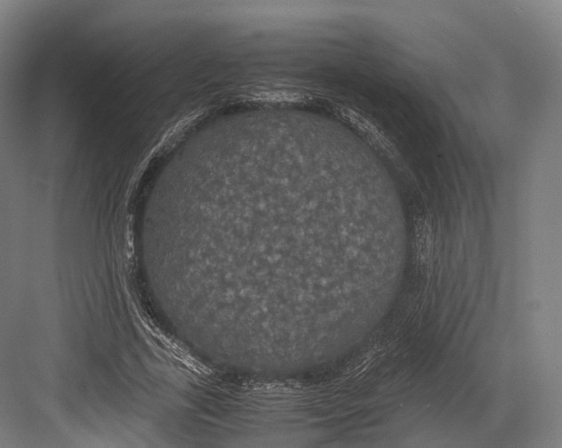 X0000082690731200702161723