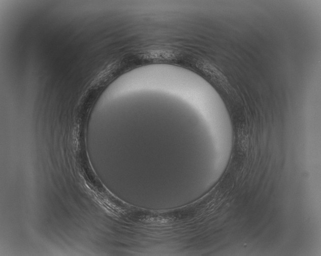 X0000082690735200702161723