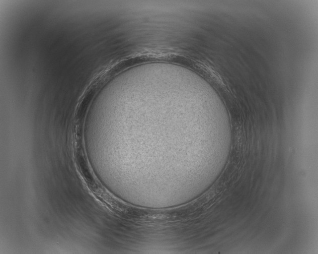 X0000082690736200702161723