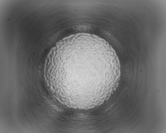 X0000082690737200702161723