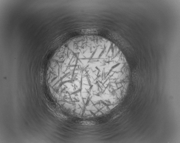 X0000082690741200702161723