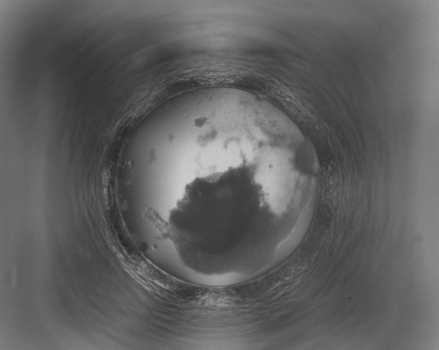 X0000082690742200702161723