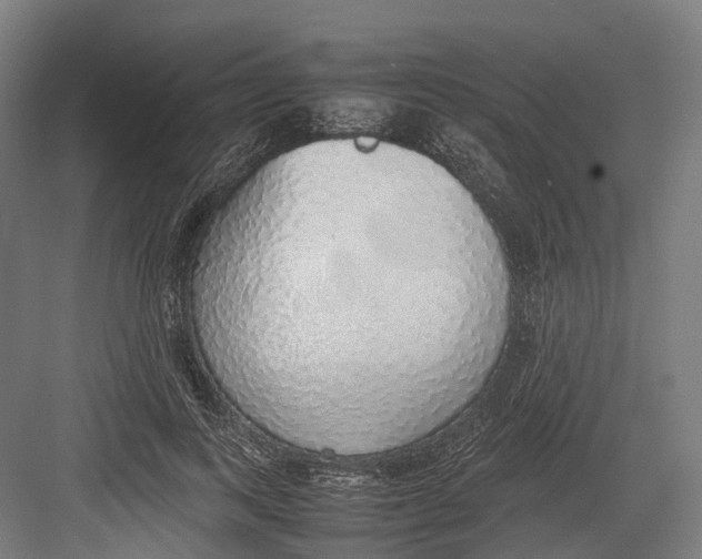 X0000082690743200702161723