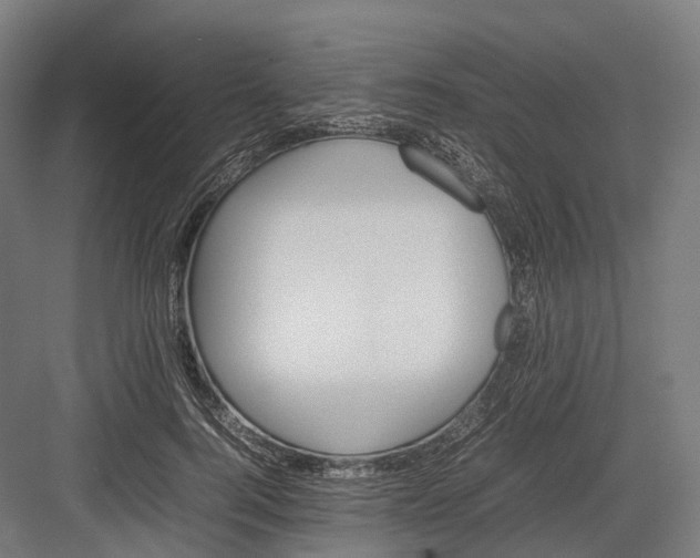 X0000082690744200702161723