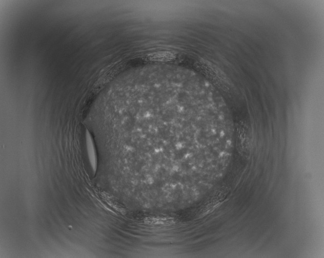 X0000082690745200702161723