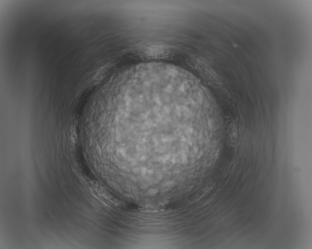 X0000082690746200702161723