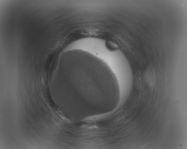 X0000082690747200702161723