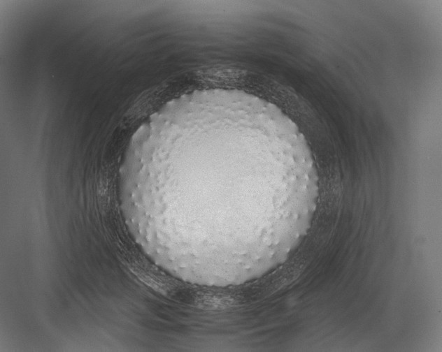 X0000082690749200702161723