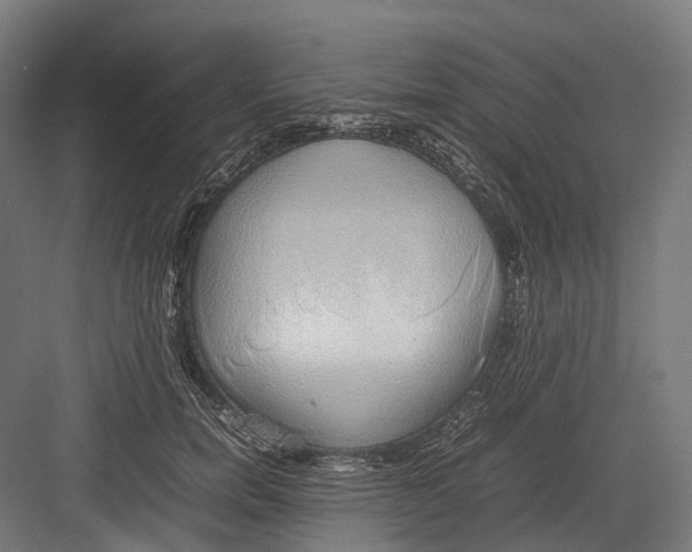 X0000082690750200702161724