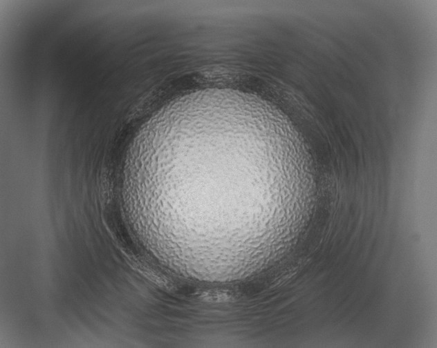 X0000082690751200702161724