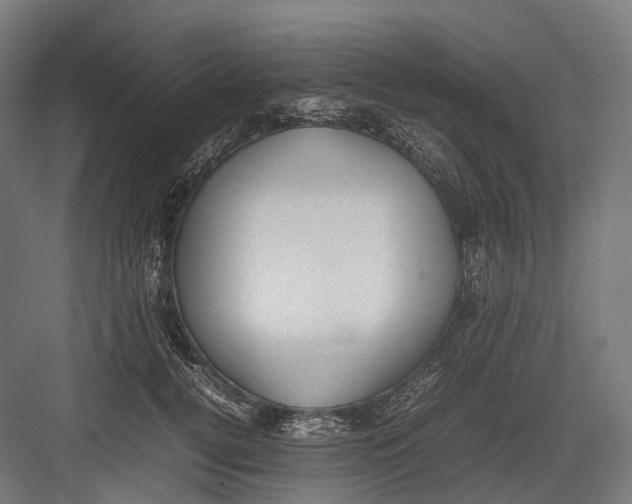 X0000082690752200702161724