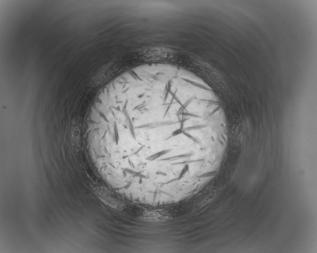 X0000082690753200702161724