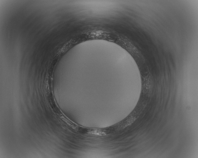 X0000082690754200702161724