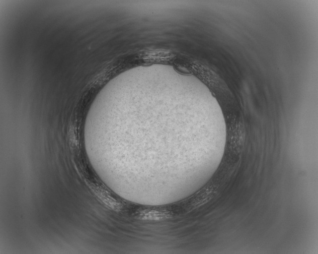 X0000082690755200702161724