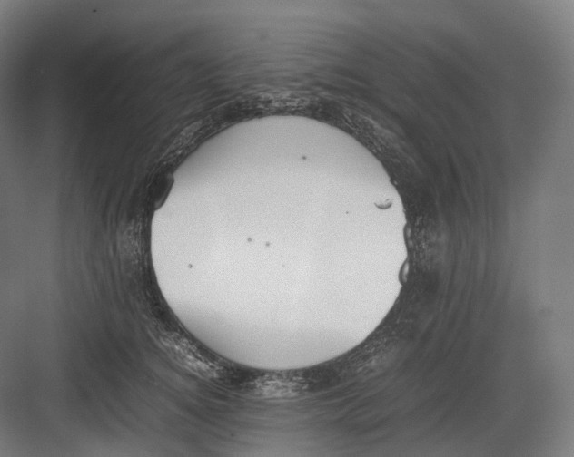 X0000082690756200702161724