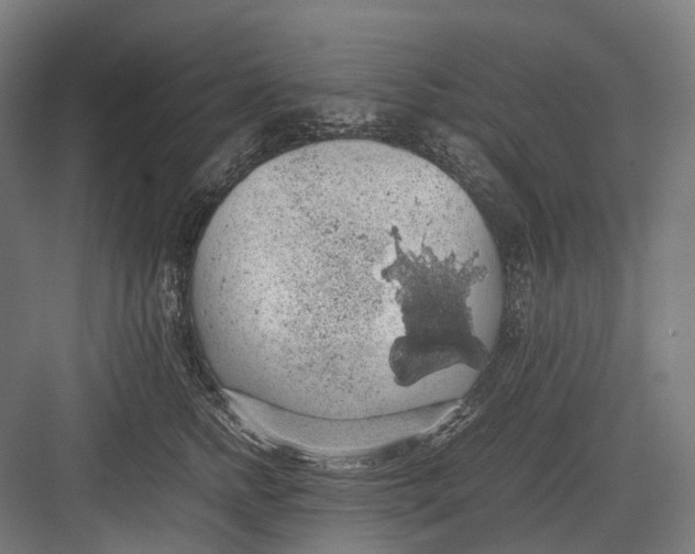 X0000082690758200702161724