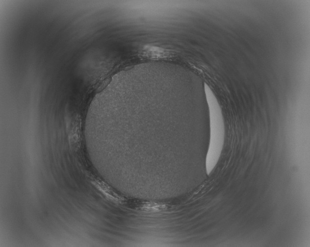 X0000082690760200702161724