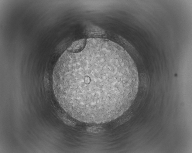 X0000082690761200702161724