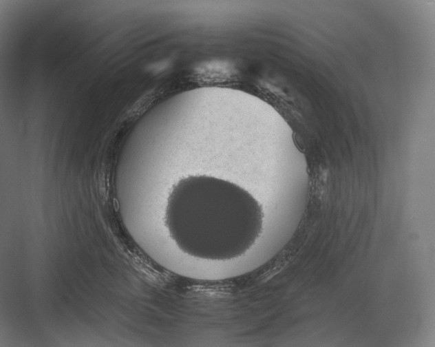 X0000082690763200702161724