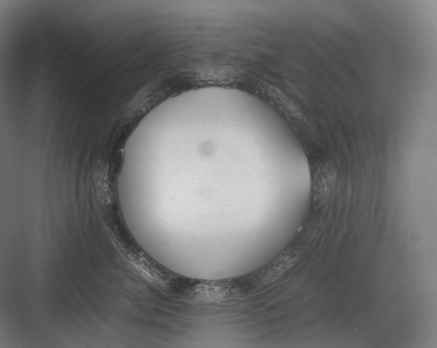 X0000082690764200702161724