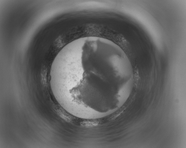 X0000082690765200702161724