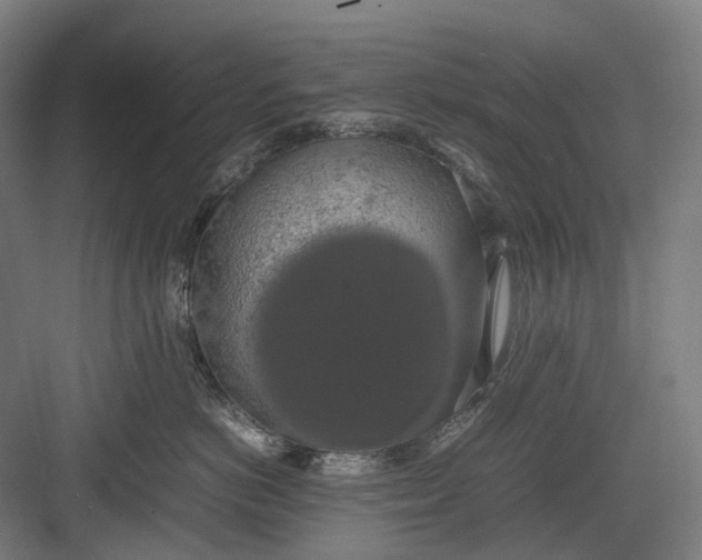 X0000082690766200702161724