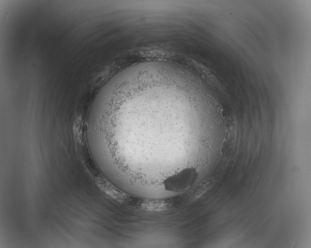 X0000082690767200702161724