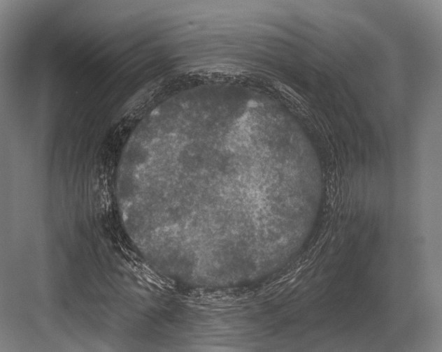 X0000082690774200702161723