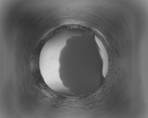 X0000082690775200702161723