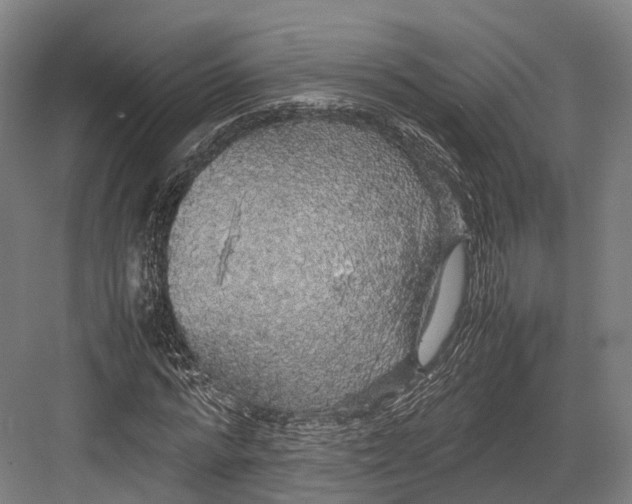 X0000082690776200702161723