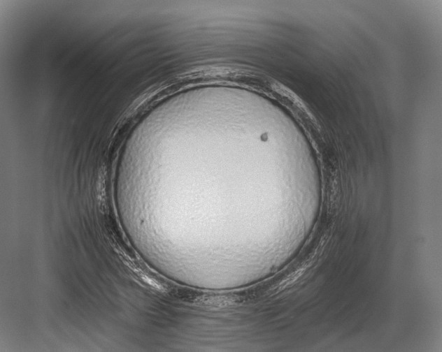 X0000082690778200702161723