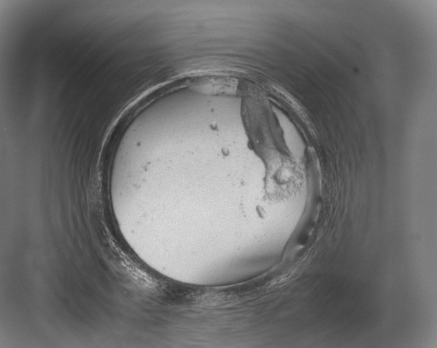 X0000082690779200702161723