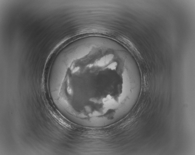 X0000082690780200702161723