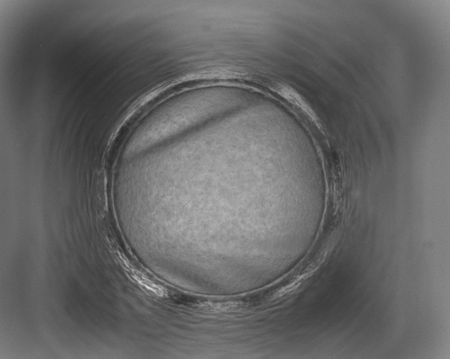 X0000082690781200702161723