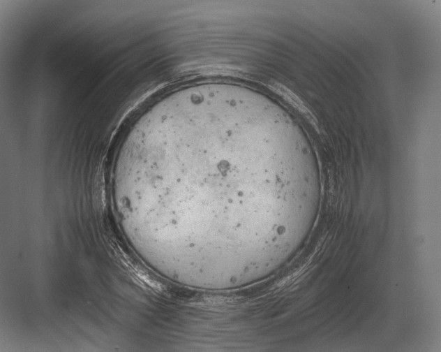 X0000082690782200702161723